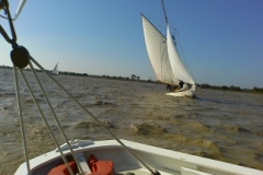 SB Clapotis