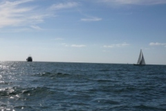 SB Clapotis