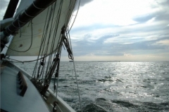 SB Clapotis