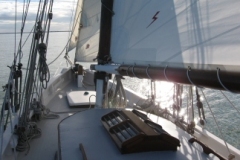 SB Clapotis