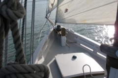 SB Clapotis