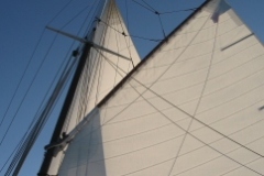 SB Clapotis