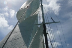 SB Clapotis