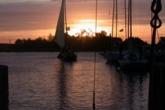 2008-10-05-7760