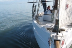 SB Clapotis