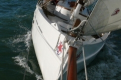 SB Clapotis