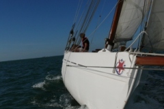 SB Clapotis