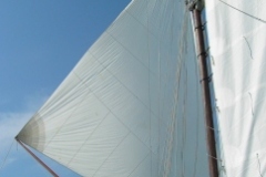 2006-07-16-020