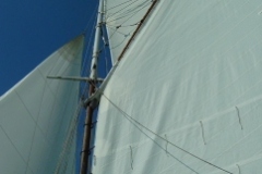 2006-07-16-021