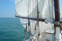 2006-07-16-024