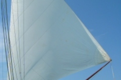 2006-07-16-025