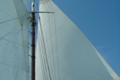 2006-07-16-027