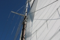 SB Clapotis