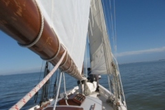 SB Clapotis