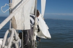 SB Clapotis