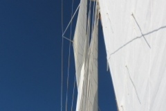 SB Clapotis