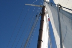 SB Clapotis