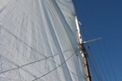 SB Clapotis