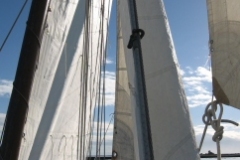 SB Clapotis