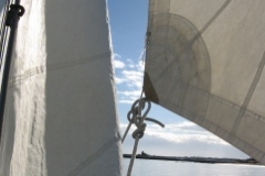 SB Clapotis