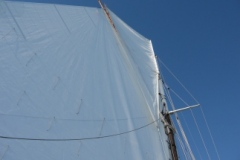 SB Clapotis
