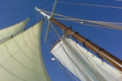 SB Clapotis