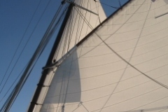 SB Clapotis