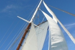 SB Clapotis