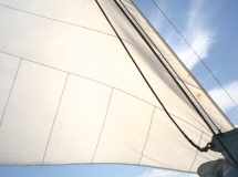 2008-10-11-065