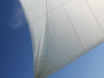 2008-10-11-069