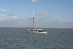 SB Clapotis