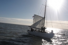 SB Clapotis