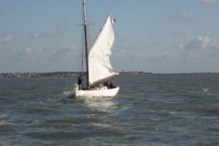 SB Clapotis