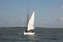 SB Clapotis
