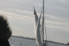 SB Clapotis