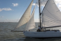 SB Clapotis