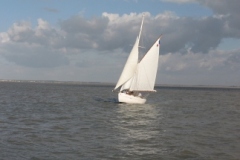 SB Clapotis