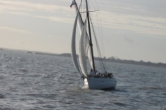 SB Clapotis