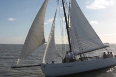 SB Clapotis