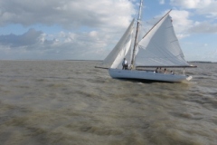 SB Clapotis