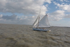 SB Clapotis
