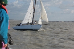 SB Clapotis
