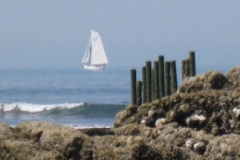 2010-04-18-045