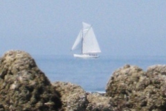 2010-04-18-047