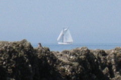 2010-04-18-048