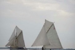 2010-07-11-004