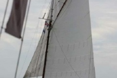 2010-07-11-005